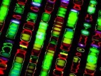 Accelerating Gene Therapies? There's an ETF for That