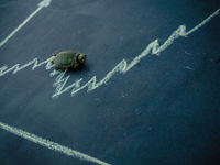 In a Fickle World, Slow and Steady Still Wins the Race