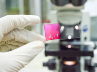 How Genomics Can Transform Cancer Screening, Investing