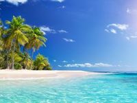 Looking for an Oasis in the Sea of Rising Rates?