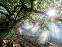 WisdomTree Launches Core Fund Suite, NTSX, NTSI & NTSE