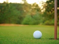 Democrats Seek Legal Certainty for ESG Inclusion in Retirement P