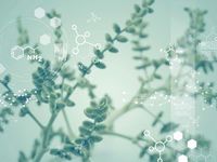 As Biotech Consolidation Heats up, 'SBIO' Could Be a Winner