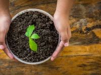 The Case for Active Management in the Fluid World of ESG