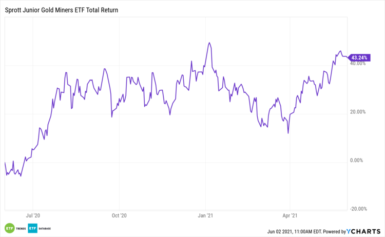 SGDJ 1 Year Performance