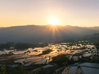 Why China Looms Larger and Larger in the Solar Industry