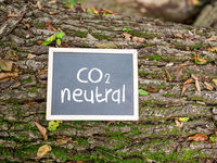 Could a Bitcoin ETF Actually Be Carbon Neutral?