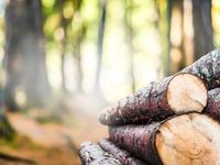 Natural Resources Assets Make Ideal Inflation Plays