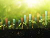 Are ESG Investors Overlooking Small Cap ETFs?