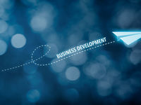 Looking for the Best in Business Development Companies?