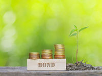 Looking for Low Volatility? Green Bonds May Be Golden