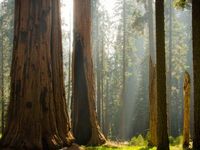 When It Comes to Clean Energy, California Is King
