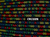 New Gene Editing Trial Results Bump the ARKG ETF