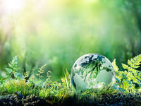 Capture ESG Across the Globe with This FlexShares ETF
