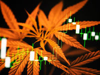 ETFMG Extends Cannabis ETF Lineup with MJXL