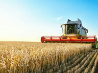 Keep Inflation Worries At Bay with This Agriculture ETF