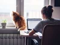 Don't Ditch the Stay-at-Home Stocks