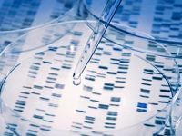 Snag Next-Generation Tech Exposure with This Genomics ETF
