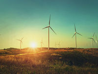 U.N. Climate Report Could Spur More Green Investing