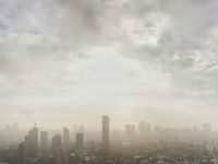 The SMOG ETF: A Call to Action for Advisors