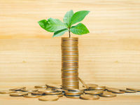 Sustainable Investments Now Over a Third of Global Assets 