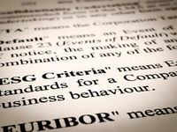 Does All ESG Money Really Go Toward Sustainability Issues?