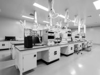 Biotech Small Caps Will Bounce Back