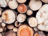 As Populations Grow, Draw Gains from This Natural Resources ETF