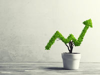 Score an ETF that Runs the Income Gamut with 'RAVI'