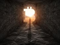 POC and LGBTQ Investors Favor Bitcoin and Other Cryptos