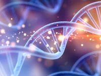 Genomics Could Again Be Prime Time Idea
