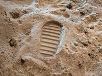 Familiar Groups Increase Footprints in Low Vol ETF