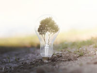 Climate Tech Companies Rise with Increased ESG Focus