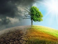 Sovereign Wealth Funds MIA in the Climate Change Fight