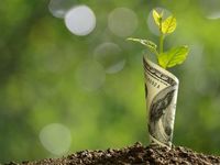 Growth Stock ETFs Maintain Their Momentum on Expectations of Eco