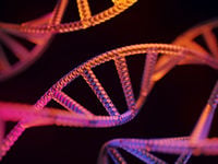 Google Getting Into Genomics or Already There? 