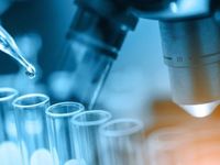 Biotech Stocks Have Colds, but They Can Heal