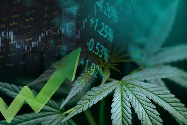 cannabis mutual fund