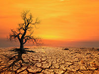 Americans Believe Global Warming Is Harming Them Now