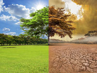BHP Shareholders Urged to Vote Against Emission Plan