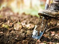 With Dividend Growth Soaring, Dig Into DIVS