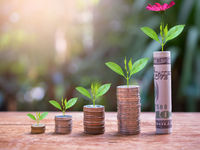 Two ETFs to Weigh as Green Bonds Proliferate