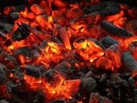 China’s Temporary Need for Coal Highlights Importance of Renewab