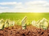 Active ETF Appeal Increases as Money Managers Grow AUM