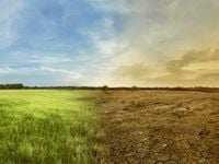 We're 'Way Off Track' From Climate Change Goals, U.N. Says