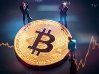 Evaluating the Utility of Bitcoin Futures