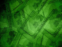Big Year for Sustainable Bond Issuance