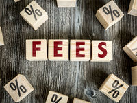 Fees Important When Considering Active Management