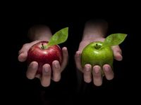 MLP ETFs vs ETNs