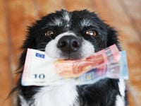 This Dividend Dog ETF Has Some Teeth
